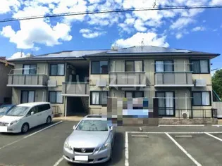 シンシア向山の画像