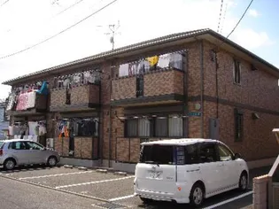 アリエルの画像