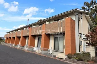 NORTH FIELDの画像