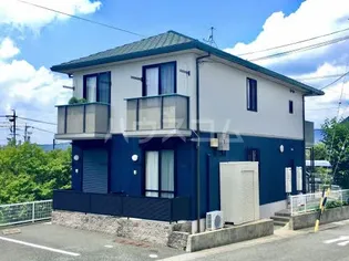 ルピナスの画像