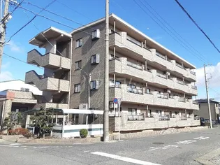 ファミールの画像