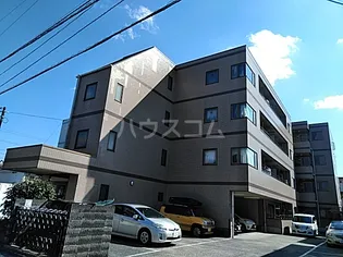 フォレスト フィールドの画像