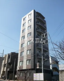 STELLA SENDAIZAKAの画像