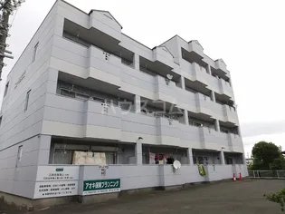 ニューリタンスの画像