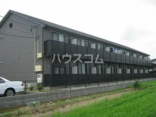 アンプルール リーブル WINGの画像