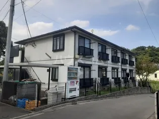 グリーンバレーオオクラの画像