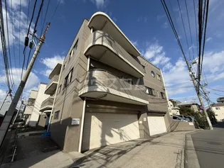 アムールMの画像