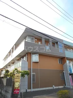 コート アベニューの画像