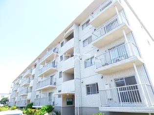 メゾンベルウッドの画像