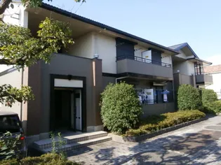 ネオパーチェの画像