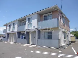 ベリーT Aの画像