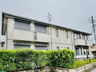 マロニエ Bの画像