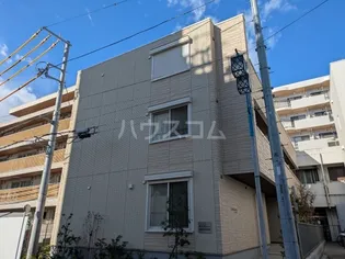 コンソランテの画像