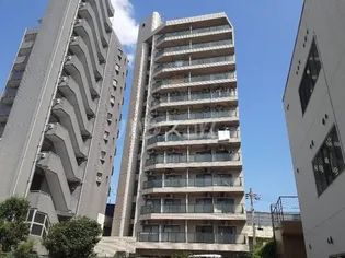 テディマンションの画像