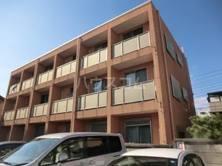 ゼルコバハイツの画像