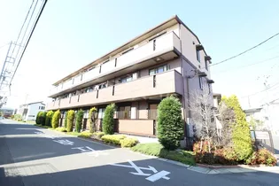 シエルドールの画像