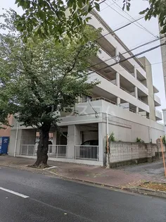 ライトガーデンの画像