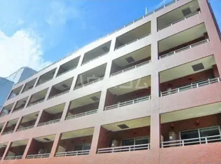 スターハイムの画像