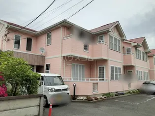 D O I茅ヶ崎の画像