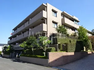 ライオンズステージ上野毛の画像