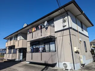 コスモ光Bの画像