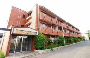 V スクエアSUGITAの画像