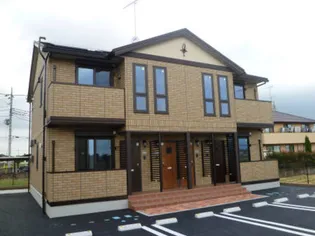 エバーグリーン Bの画像