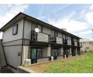 モンテベルデの画像