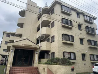 シャルマン2の画像