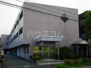 モア グレイスの画像