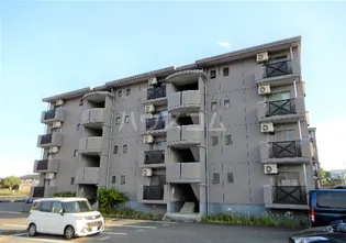 ラ カシタ グリスIIIの画像