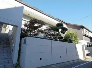 プラムスリーの画像