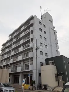CH当知の画像