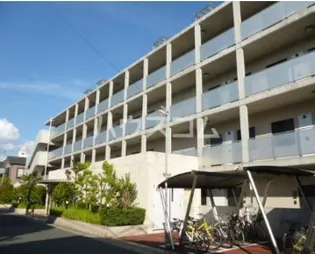 エバーグリーンの画像