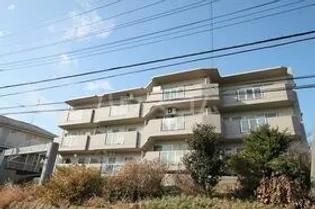 リュミエールの画像