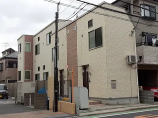 オアシスコイワの画像