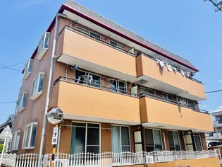 サンライズIIIの画像