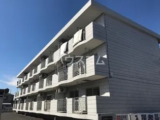 メマリスイーチの画像