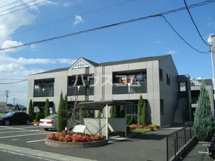 メイプルBの画像