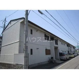 ソファレタカクスの画像