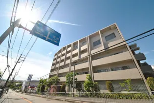 エターナル緑丘の画像