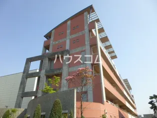 KS WINHILLSの画像