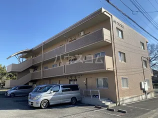 パレスコスモスの画像