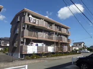 ムスカリⅡの画像