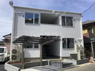 アリッサムの画像