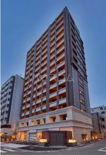 MIDFLATS BENTENCHOEKIMAEの画像