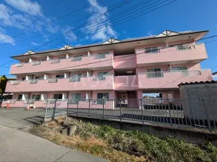 サンライトハイム7【2階】の外観