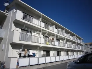 ロイヤルシングルの画像