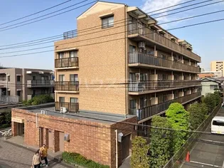 メゾン カメリアの画像