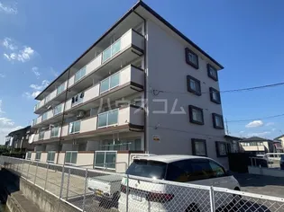 アルファコートの画像